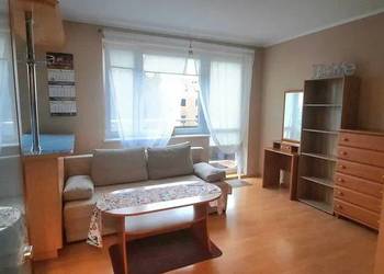 Kawalerka z wydzieloną sypialnią-zwierzęta mile widziane