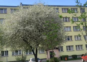 Sprzedam mieszkanie przy ul. 1 Maja w Suwałkach