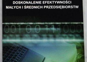 DOSKONALENIE EFEKTYWNOŚCI MAŁYCH I ŚREDNICH PRZEDSIĘBIORSTW