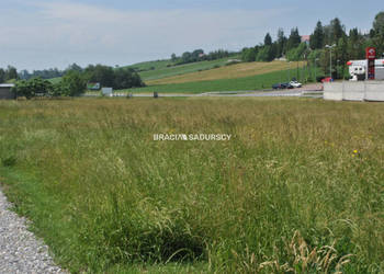 Ogłoszenie działka 7970m2 Brzezie