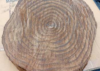 Plaster dębu na stolik kawowy