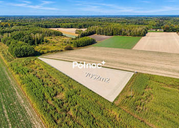 Działka z warunkami zabudowy - Kościeniewicze, pow. 7052 m²