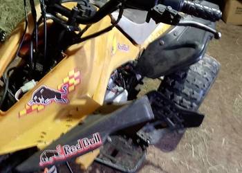 Quad 110cc bombarder z 2015