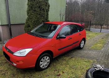 Krajowe od Nowości w jednej Rodzinie