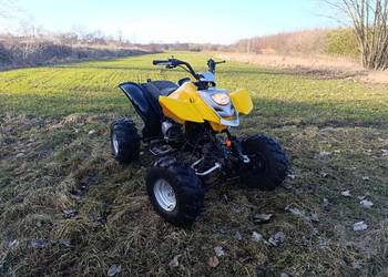 Quad Bashan 200