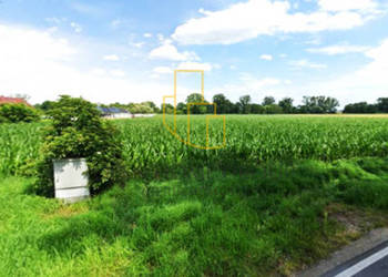 Szukalice, działka budowlana 43100 m2, media