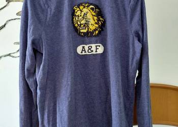 bluza