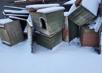 Sprzedam budy dla psów