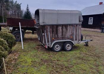 przyczepa do przewozu koni, koniowóz Boeckmann