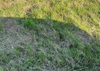 Działka budowlana nad morzem Mielenko