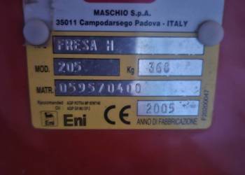 Glebogryzarka maschio