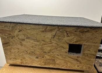 Buda dla kotów wolno żyjących