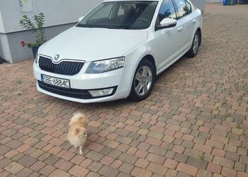 Skoda Octavia 1.4 benzyna krajowy