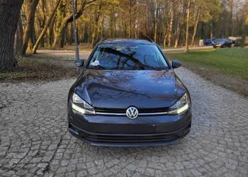 Volkswagen Golf VII  1.0 tsi benzyna bezwypadkowy- salon Polska