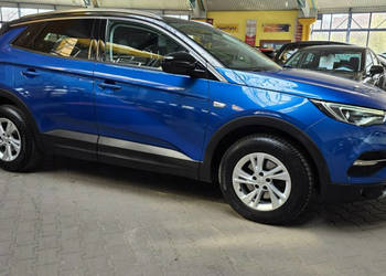 Opel Grandland X ZOBACZ OPIS !! W podanej cenie roczna gwarancja
