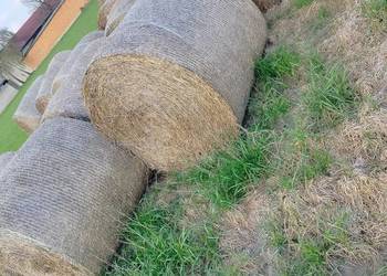 Sprzedam siano i słomę z regrasionki 691772042