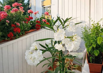 Mieszkanie Białystok Swobodna 48.29 metrów 2 pokoje