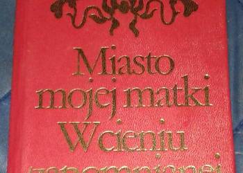 Miasto mojej matki. W cieniu zapomnianej olszyny - Juliusz Kaden-Bandrowski