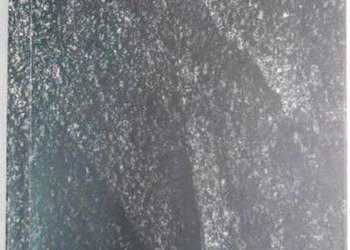 DEKONSTRUKCJA W BADANIACH LITERACKICH