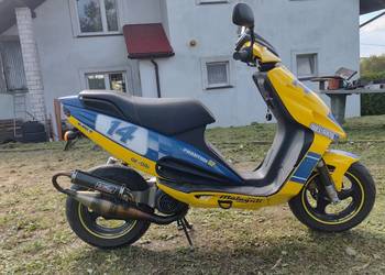 Malaguti F12 Phantom MOTOGP