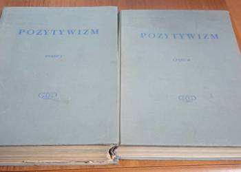 Pozytywizm 1 2 studia historycznoliterackie 2 3 Markiewicz Michałowska Kott