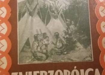 Cooper Zwierzobójca piękne książki dziecięce Dzień Dziecka