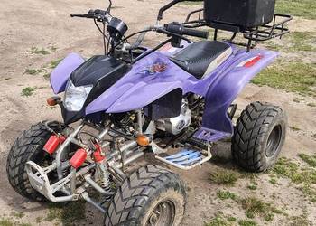 Quad shineray 200cm manual homologacja