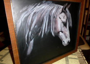 Obraz Głowa Konia (ręcznie malowany, płótno, rama) 66x57cm - PIĘKNY!