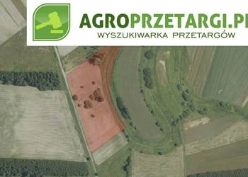 Dzierżawa 7,02 ha gruntu rolnego