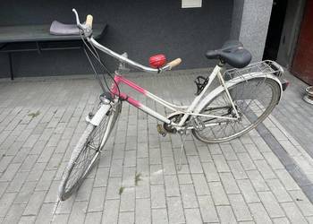 Rower holenderski damka