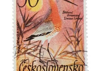 Stary znaczek pocztowy Czechosłowacja Ptaki Wodne Szlaminik Limosa ok 1965r