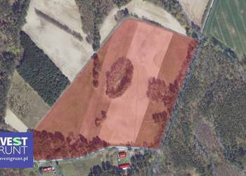 [12,15 ha] przetarg na dzierżawę gruntów rolnych