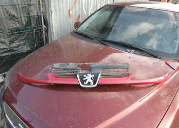 Grill Atrapa chłodnicy wlot powietrza Peugeot 206 bordowa EKQ