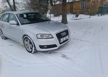 Audi a3 8p lift 2.0tdi