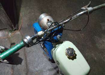 Komar Wierzchowina Riga Pakiet cena za Całość