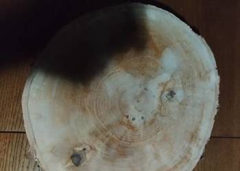 Plastry brzozy do dekoracji  wysyłka