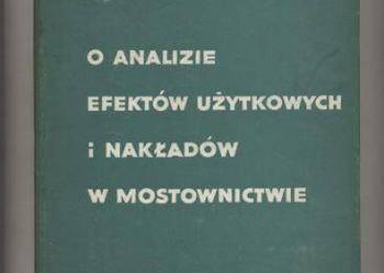 O analizie efektów użytkowych i nakładów w mostownictwie