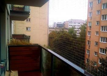 Siatki zabezpieczające dla kotów na balkon Montaż Bez Wiercenia Warszawa Siatki zabezpieczające dla kotów na balkon Montaż Bez Wiercenia Warszawa