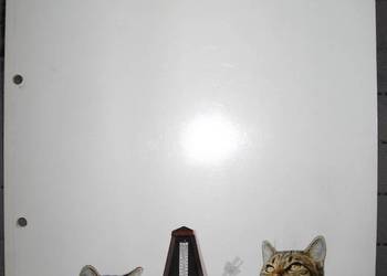 Wittner Metronomes & Musical Accessories Catalog - katalog metronomów