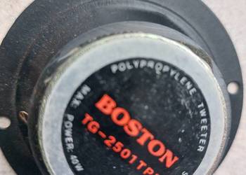 GLOSNIKI.Boston sprawny,pozostałe do regeneracji.