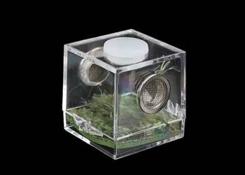 10 x micro terrarium akrylowe 3,5x3,5x3,5cm z wystrojem i wentylacją