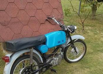 Jawa mustang