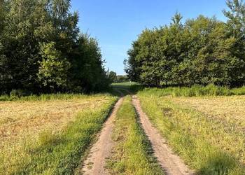 Działka z możliwością zabudowy