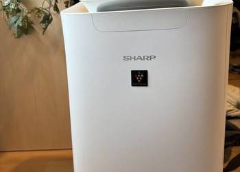 Oczyszczacz powietrza SHARP