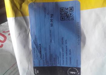 Groch siewny C1 Salamanca