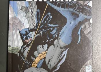 Batman Hush cz.1 - WKKDC