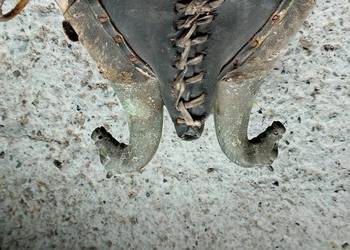 Chomonto jak na foto kolekcjonerowi