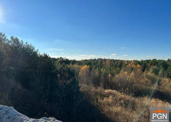 Działka Gostyniec 7041m2