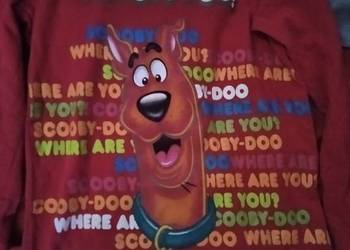 Bluzka dziewczęca Scooby-Doo