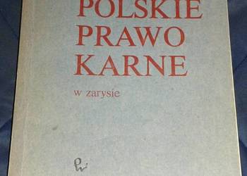 Polskie prawo karne w zarysie - Igor Andrejew